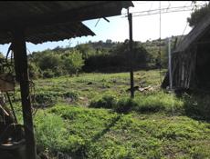 Земельный участок с домом