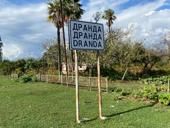 Продам два земельных участка 