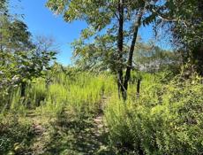 Продажа срочно