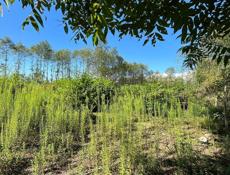 Продажа срочно