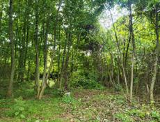 участок по ул. Инал-Ипа, Алахадзы, 6 соток