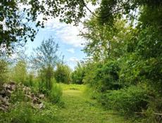 участок по ул. Инал-Ипа, Алахадзы, 6 соток