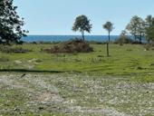 УЧАСТОК 0,5 ГА БАБУШАРА