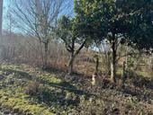 УЧАСТОК МЕРХЕУЛ