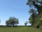 УЧАСТОК АГУДЗЕРА