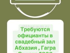 Официанты на свадьбу 5000 