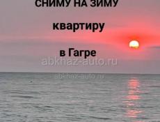 Сниму до мая