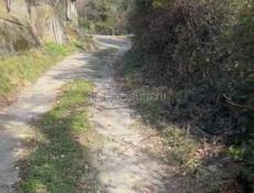 6 сот в г.Гагра