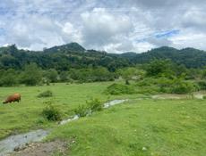 Земельный участок Мачара