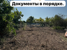 Алахадзы