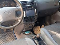 Toyota Picnic