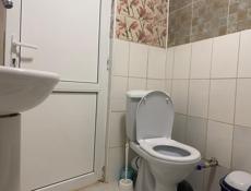 Сдаю