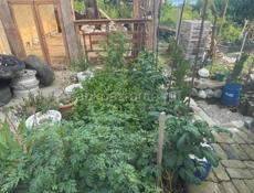 Продажа обмен с вашей доплатой 
