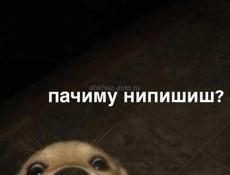 Продам дом
