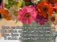 Сниму