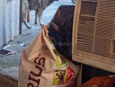 Помогите распространить!!! На рынке по ул Гулия 135 находится большая бездомная собака ( агрессивная итд ) Рядом с продуктовыми магазинами . В какие службы обращаться в данных ситуациях!?