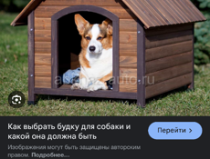 Куплю будку для собаки