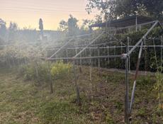 Продам парник 11м на 2,11м