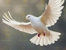 В поисках работы...