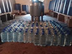 Чача домашняя 