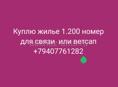 Куплю жилье 