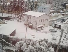 Сдается квартира Сухум Синоп
