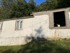 цандрипш 