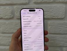 16 Pro Max 256Gb 🔋100%