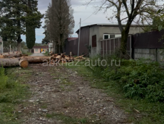 Пицунский поворот 1 Га
