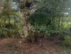 🌿 Земельный участок в Гулрыпше