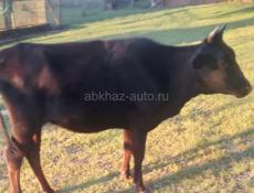 Продаю 