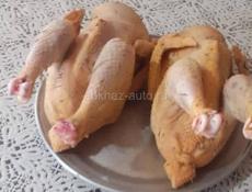 Куры