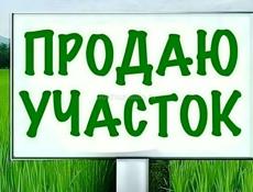 1 гектар