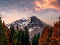 В центре города продаётся студийная квартира 32 квадрата   черновая работа сделаная 1 этаж цена 2700000