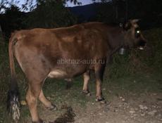 Продаю 