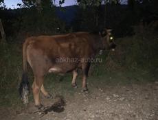 Продаю 