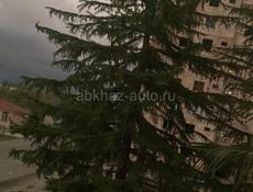 Продам квартиру Дранда дск