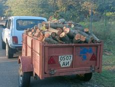 Продаю дрова Альха.полный прицеп 6000.т.р.