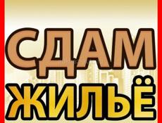 Сдаётся с конца октября 