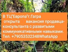 вакансия продавца-консультанта 