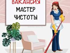 Требуется мастер чистоты