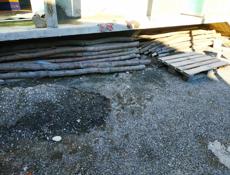 Продам 60шт ( акация)