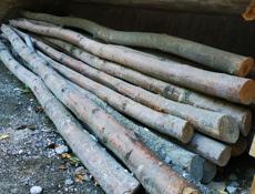 Продам 60шт ( акация)