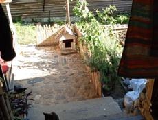Продается дом по ул.Дарсалия