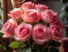 Ищу работу срочно на грушика сухум или драндах +79407239128