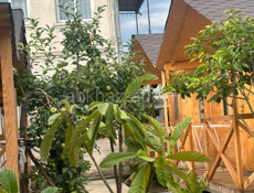 Коттеджи 3-местные 