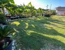 Сдается три комнаты!