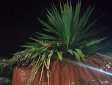 Ищу роботу официанткой срочно