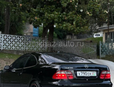 Mercedes-Benz CLK