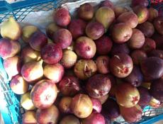 Желательно срочно.